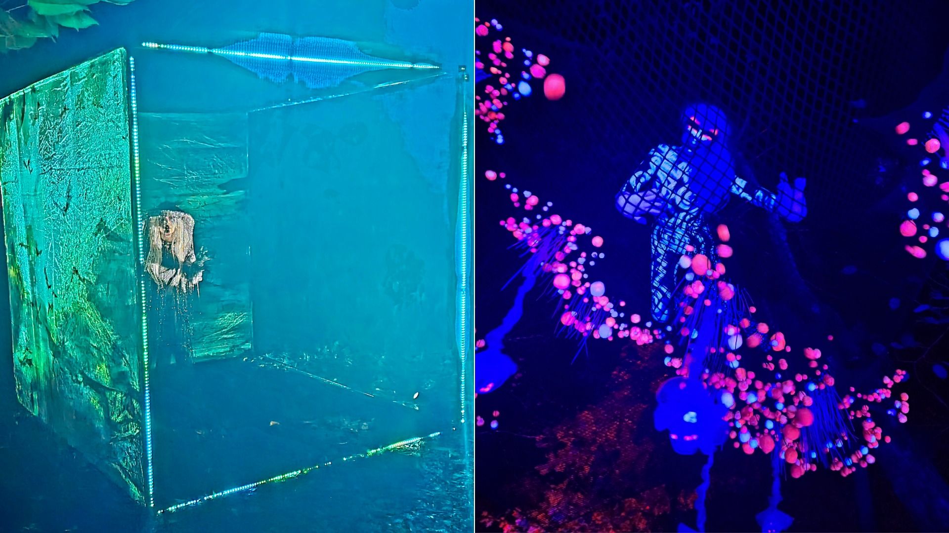 Split image: left shows a glowing greenish cube with textured surfaces underwater; right shows a figure in patterned suit inside a net with glowing pink and blue orbs in dark background.