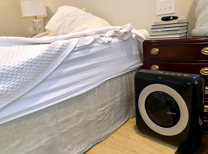 air-charlotte-allergies