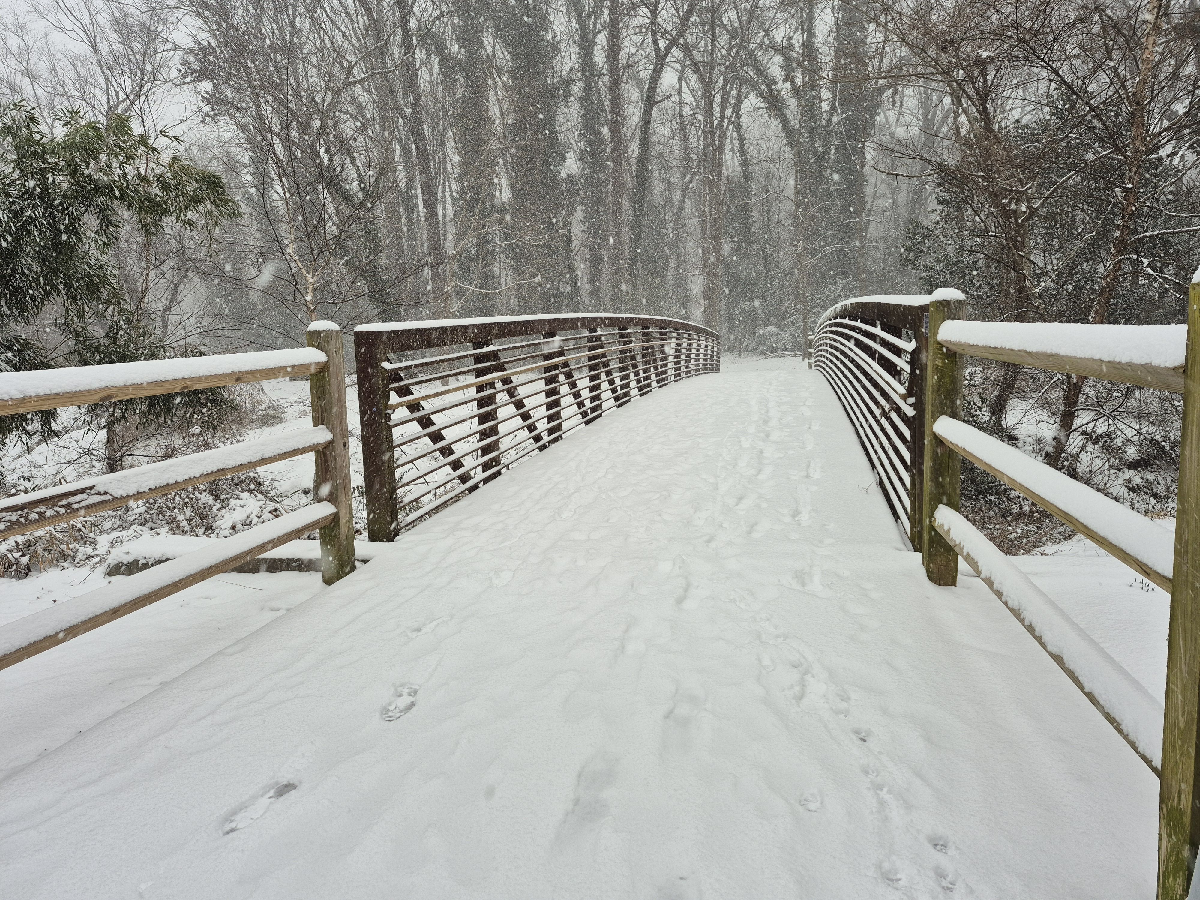 Snow-covered bridge with wooden and metal railings in a forest during snowfall, surrounded by leafless trees and bushes dusted with snow.