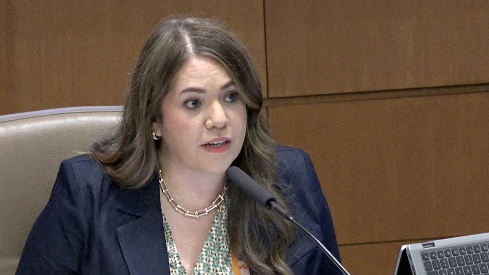 District 8 Councilmember Ivalis Meza Gonzalez speaks into a microphone at a City Council meeting in August 2025.