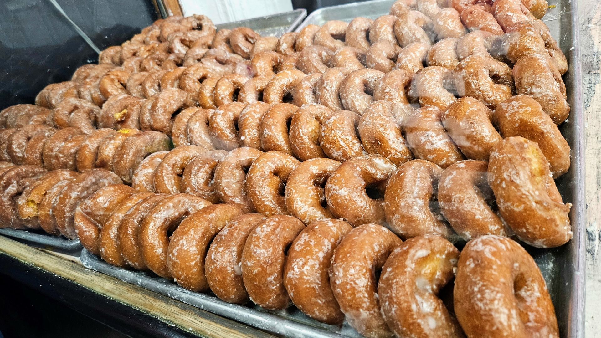 Rows and rows of pumpkin doughnuts in a display case at Lindsey's Bakery