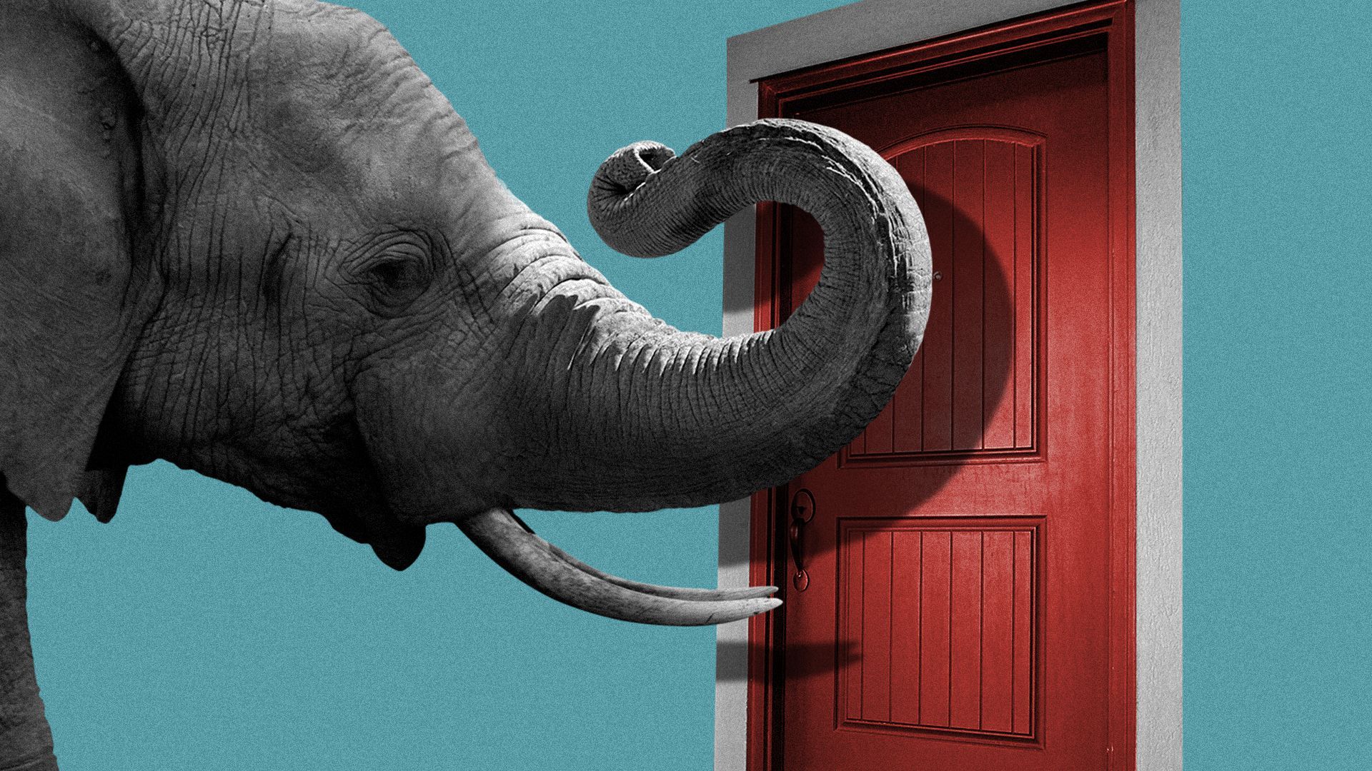 Illustration of an elephant knocking on a door.