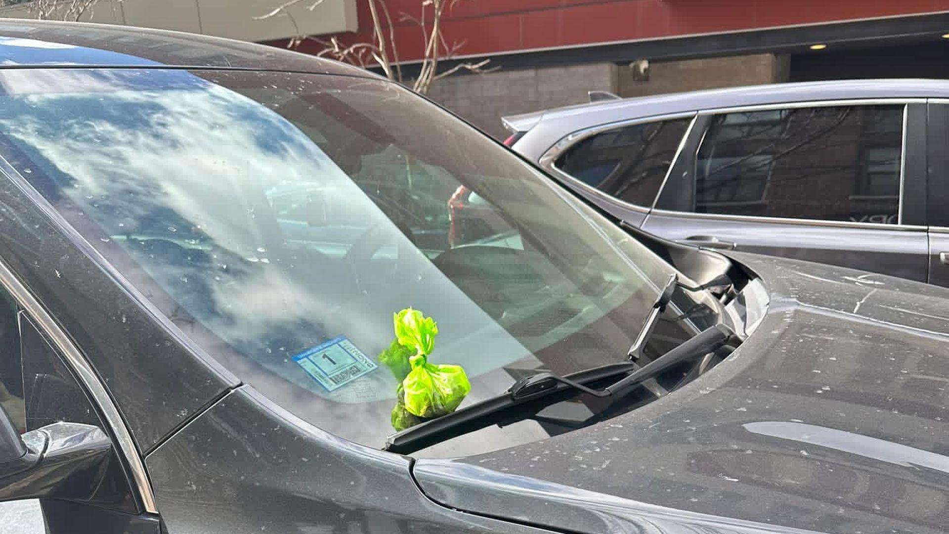 Dark gray SUV in a parking lot. A full doggy bag or plant sits on the front windshield near the wipers in Boston's South End neighborhood.