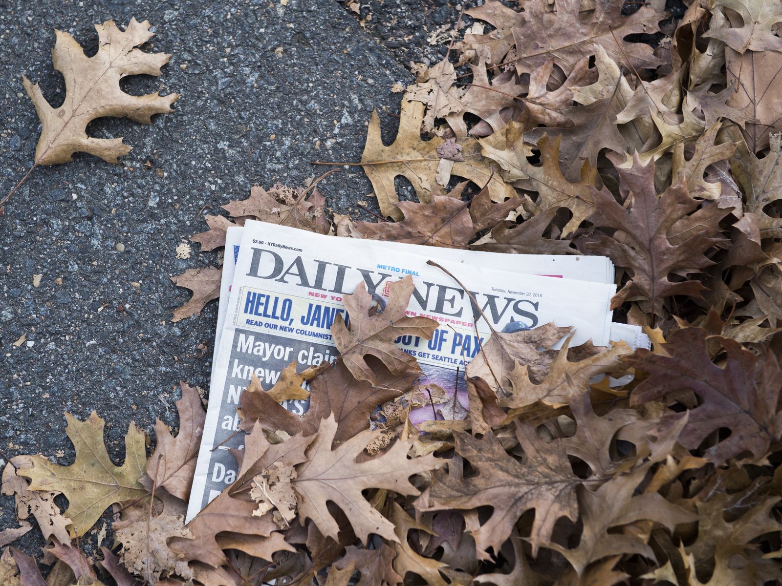 The Fine Print - Reporting on the Media Industry in New York City