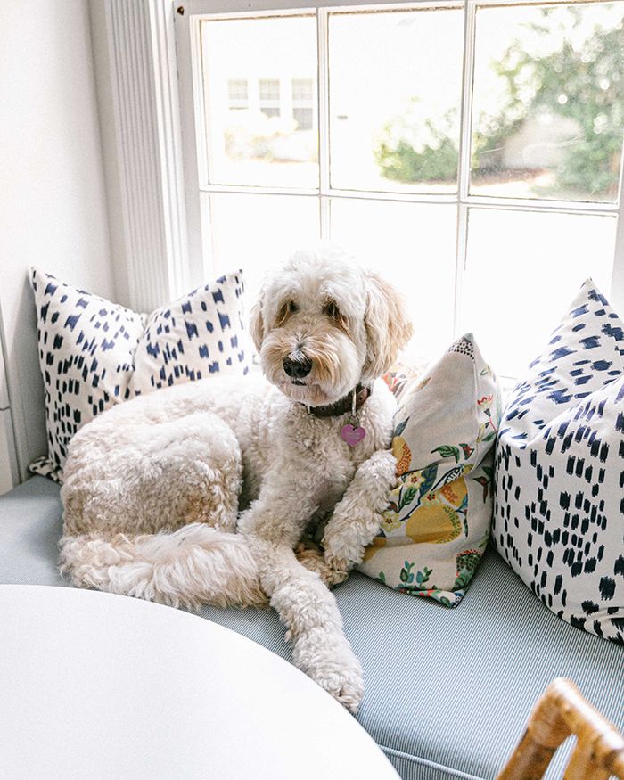 alexis warren home tour pet