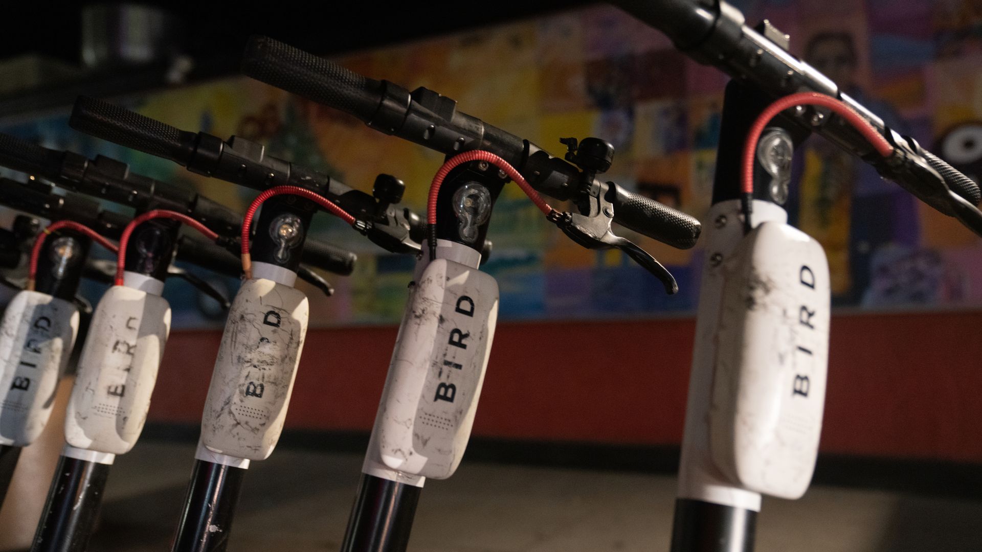 Bird scooters in San Diego