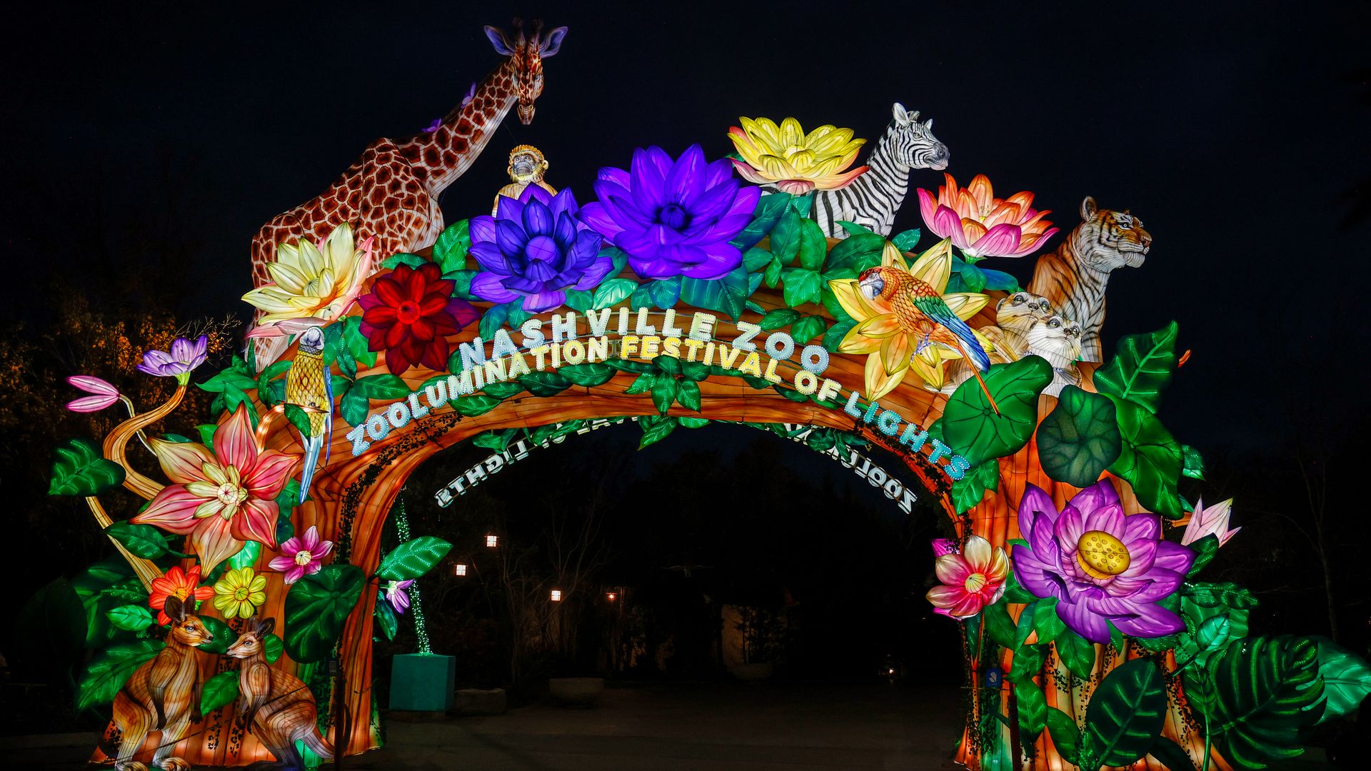 Night view of a brightly lit arch at Nashville Zoo's festival of lights, decorated with oversized flowers and animal figures (giraffe, zebra, tiger, parrot) against a dark sky.