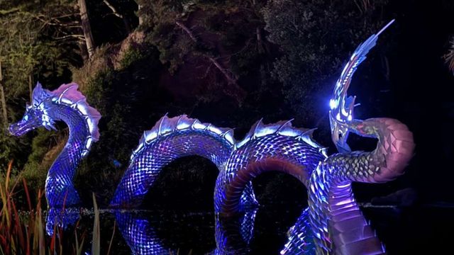 Glowing sea serpent lands in Golden Gate Park - Axios San Francisco