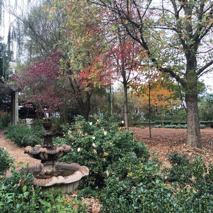 McGill Rose Garden
