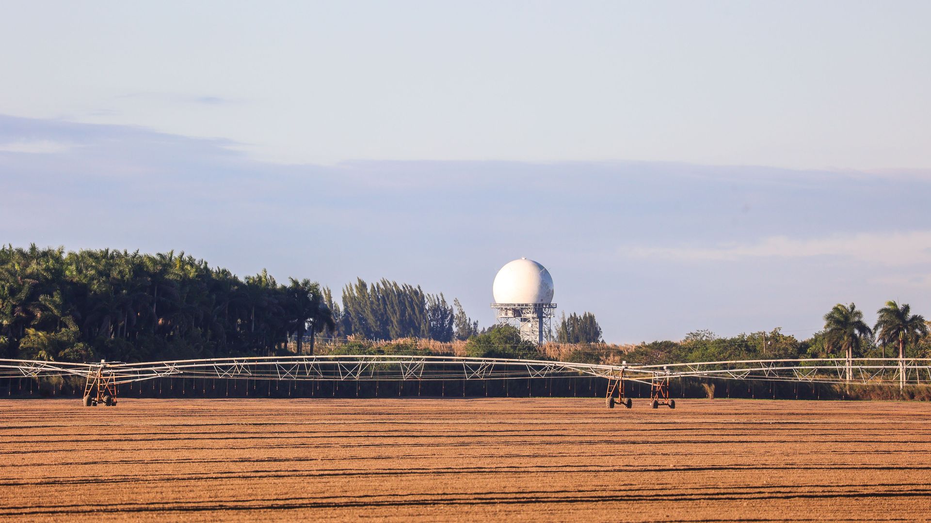 A farm in Miami, Florida, US, on Thursday, Jan. 29, 2026. A powerful Arctic blast is expected to arrive this weekend in south Florida, putting the state's citrus growers and vegetable farms at significant risk. Photographer: Zak Bennett/Bloomberg via Getty Images
