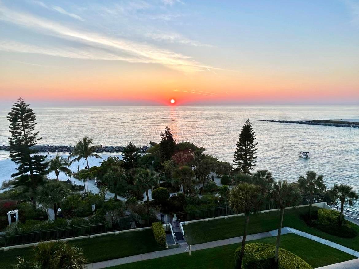 A photo of a sunset over water. In the foreground is a lush garden on the beach.