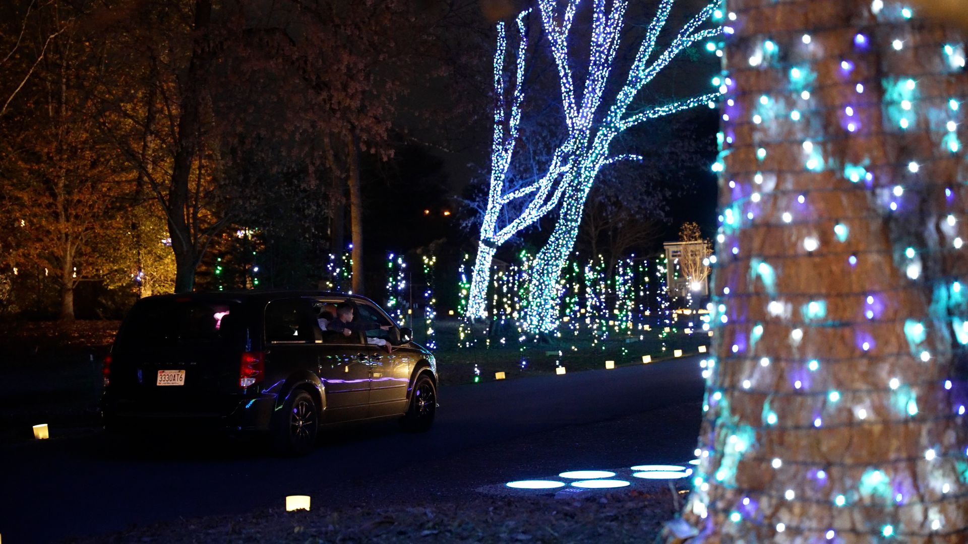 Black vehicle driving down a dark road lined with trees wrapped in blue, white, and green holiday lights at night.