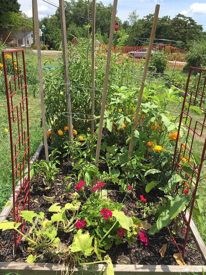 flowers-oakhurst-community-garden