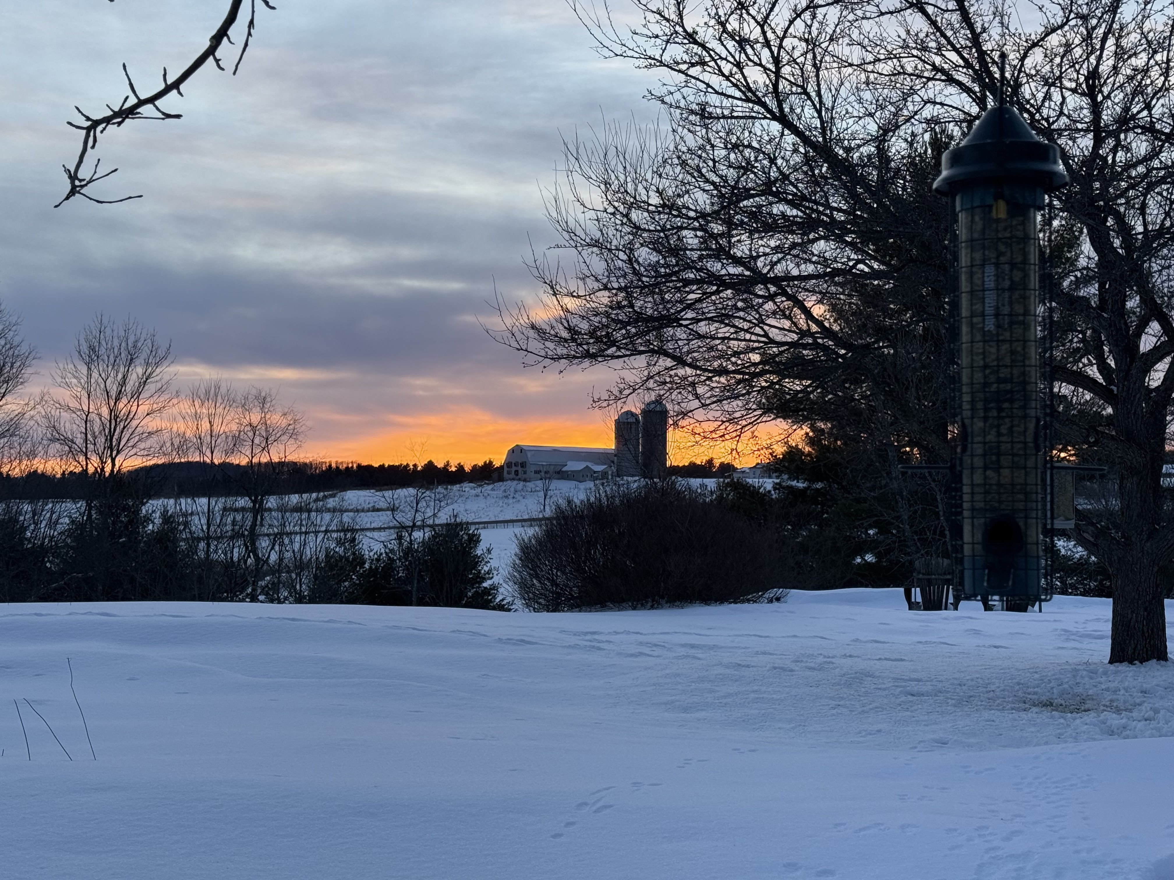 Snow-covered rural landscape at sunset with a farm and silos in the distance, leafless trees, and a bird feeder hanging from a tree on the right.