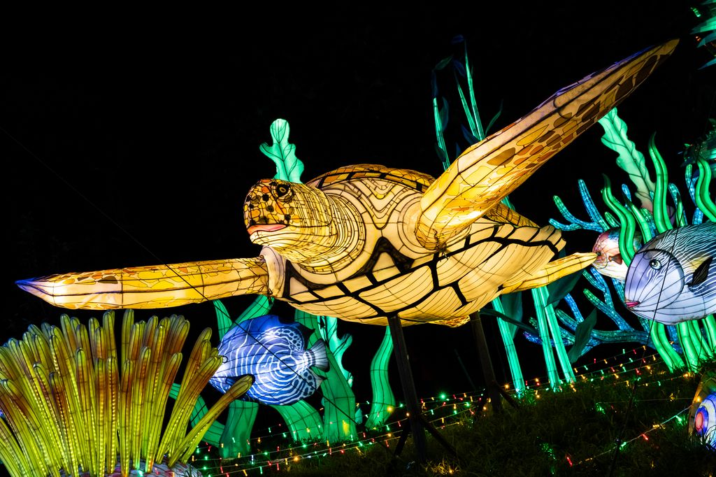 Weekender: Wanderlight Trail, Panda Fest and Washington County