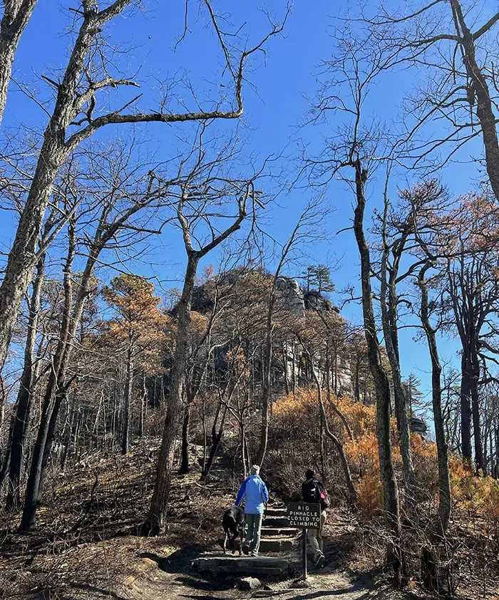 hike pilot mountain mount airy guide