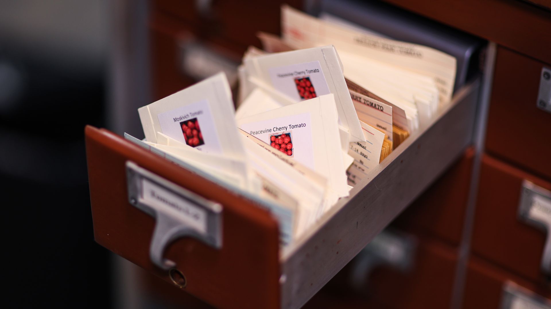 Photo of a drawer filled with seed packets. 