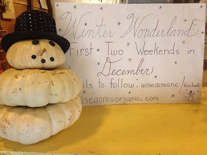 winter-wonderland-wise-acres