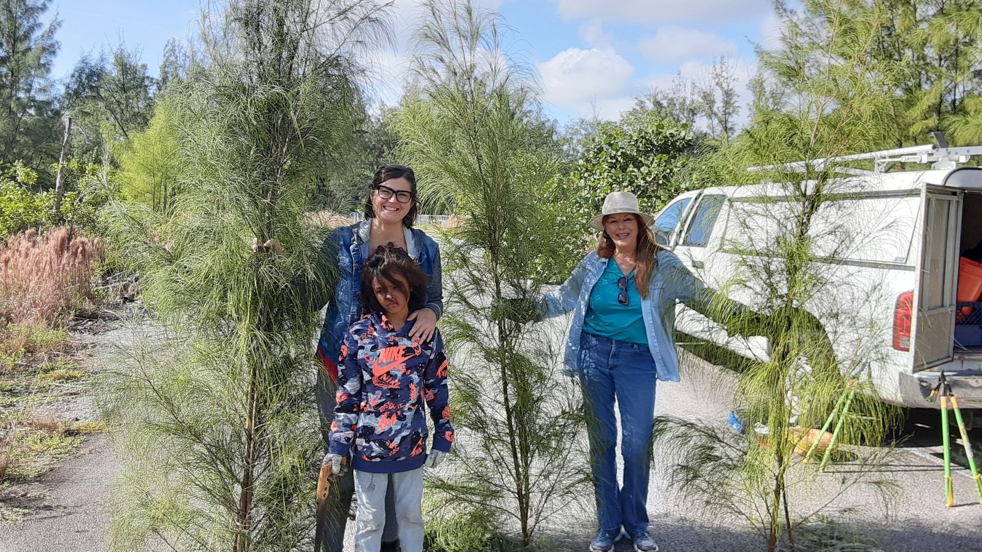Two women and a child hold up Australian pine trees.