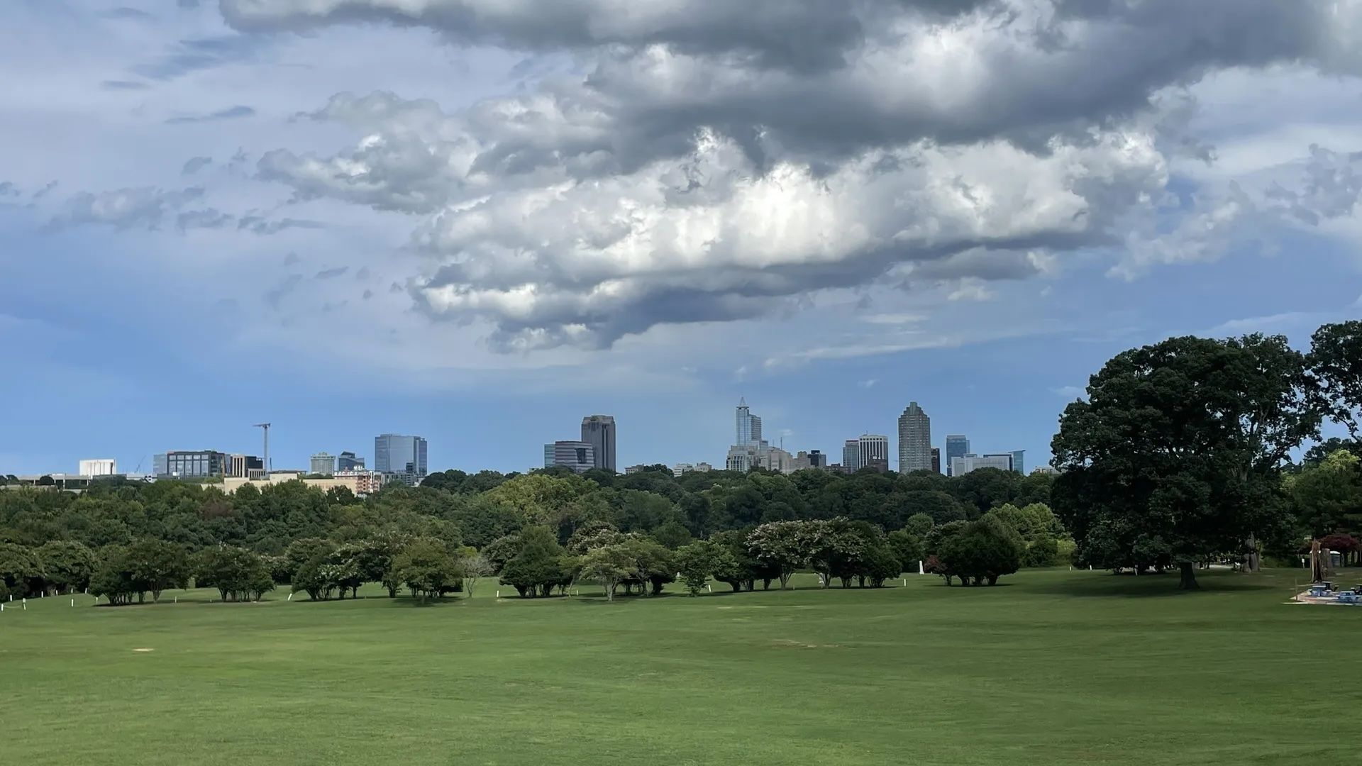 Expansive green park with trees and city skyline in the background under a partly cloudy blue sky.