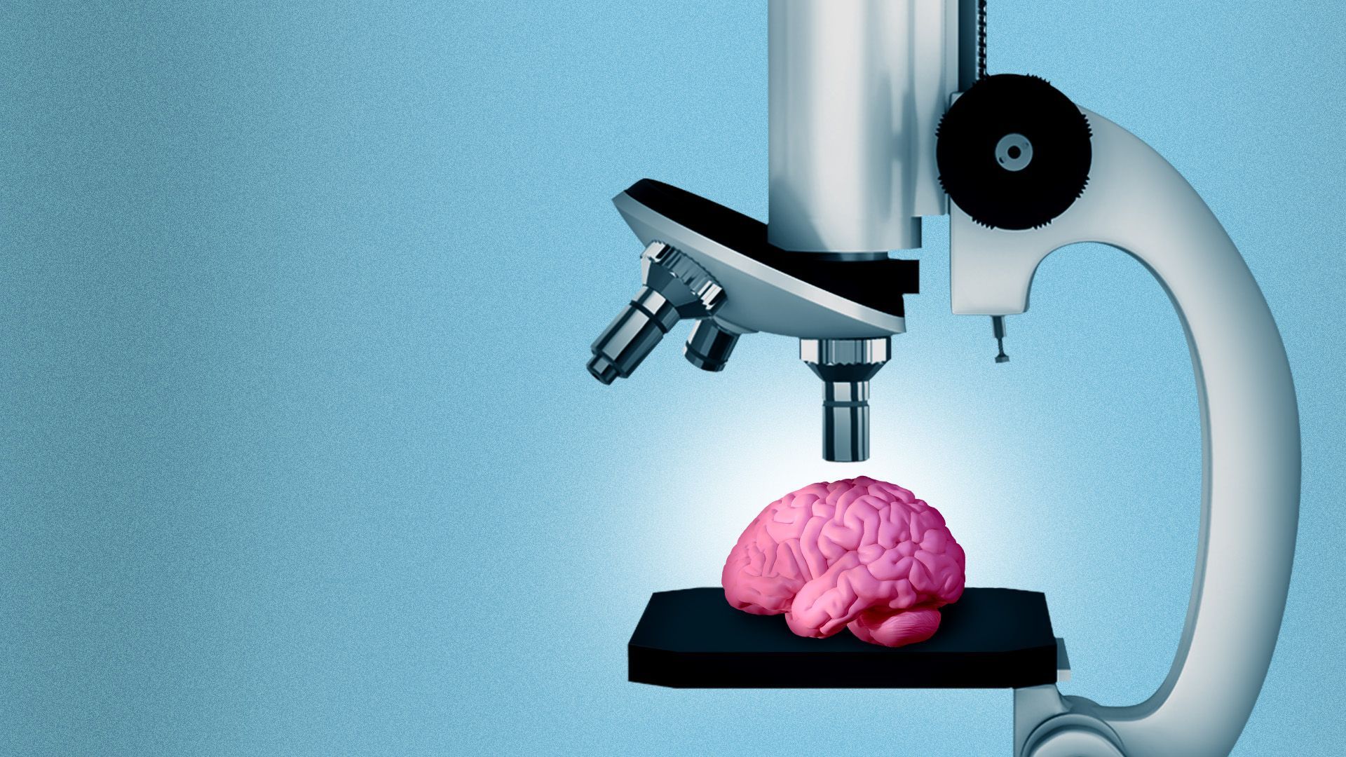 Illustration of a brain under a microscope.