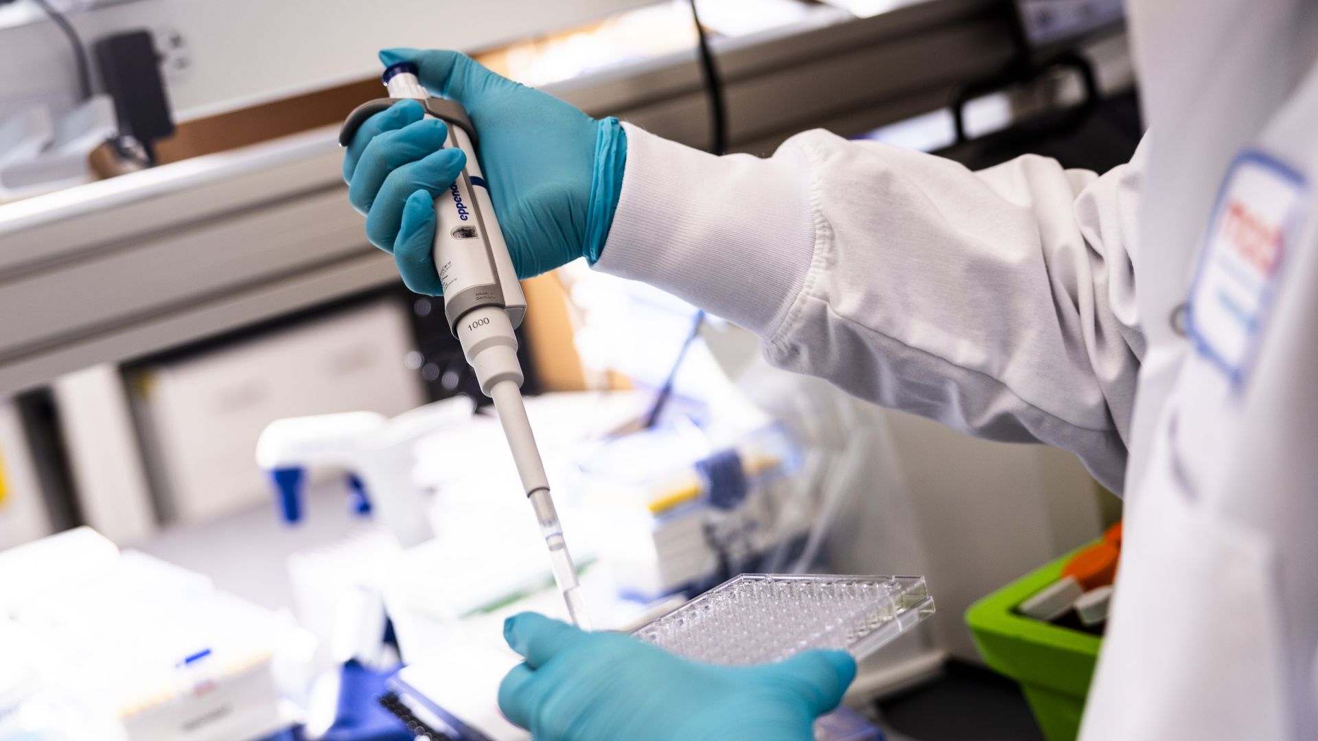 Cancer vaccine research underway in a Moderna lab in 2024. Photo: Adam Glanzman/Bloomberg via Getty Images