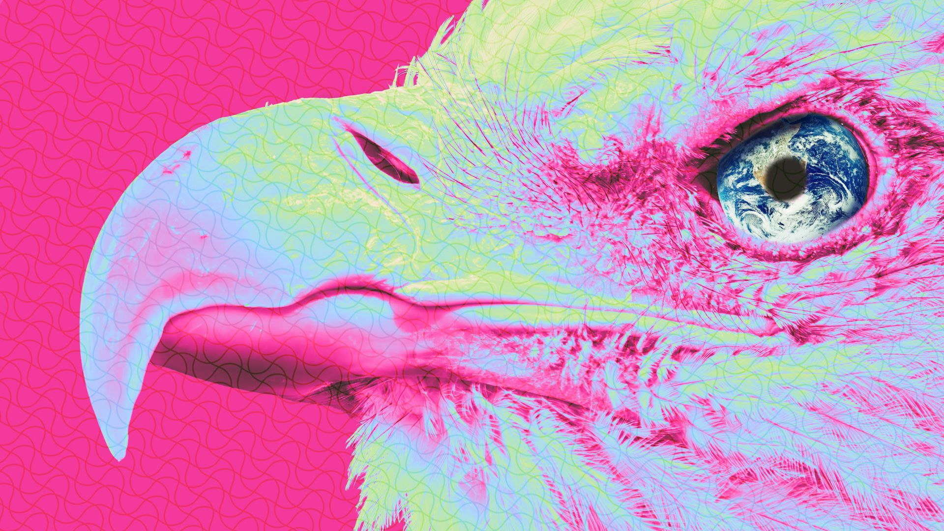 Illustration of a bald eagle with an Earth for an eye