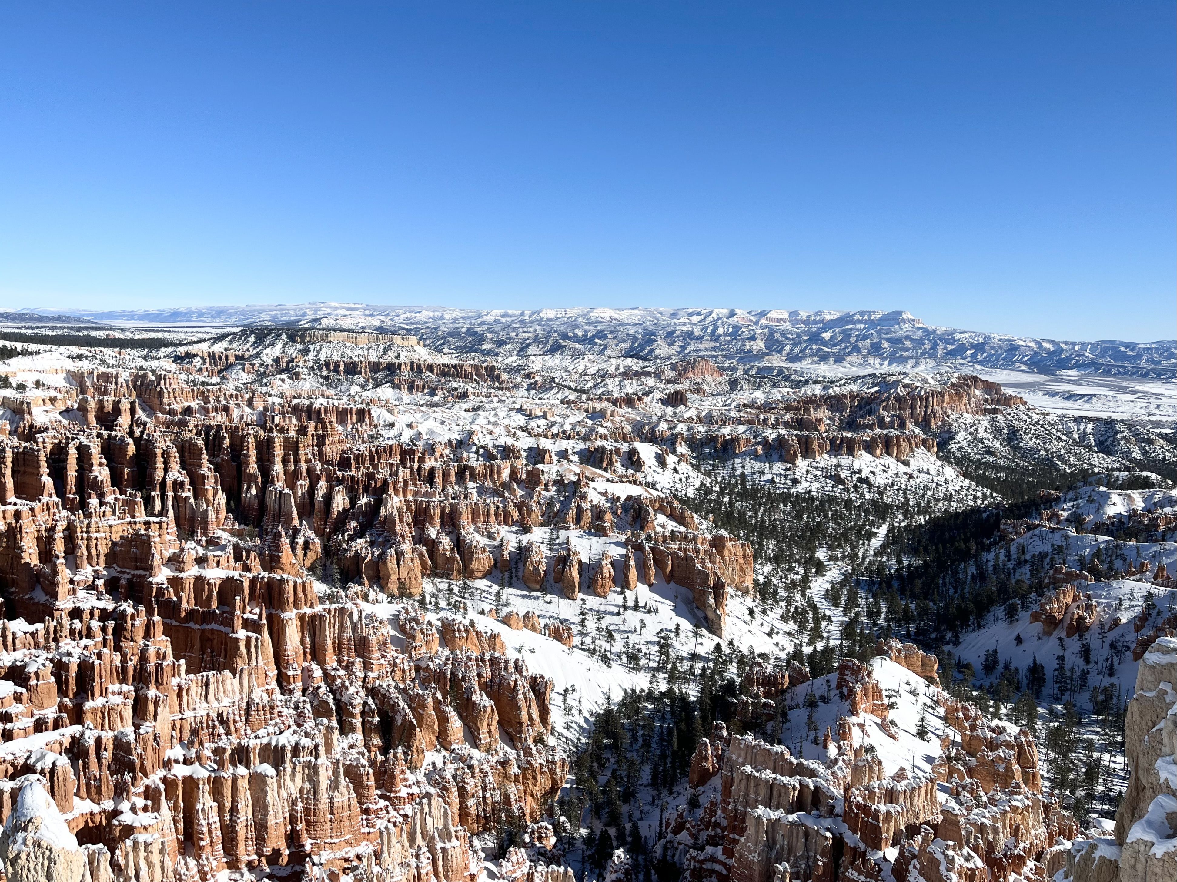 Snow coats red canyons beneath a clear blue sky; a wide landscape of cliffs and spires stretches into the distance, dotted with evergreen trees.