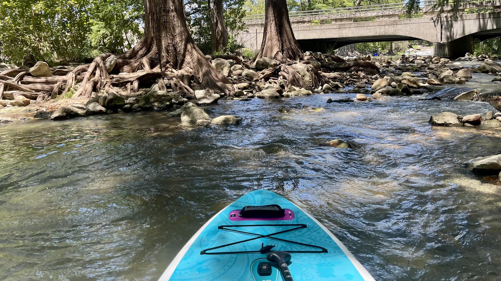 A view of a river seen from a kayak.