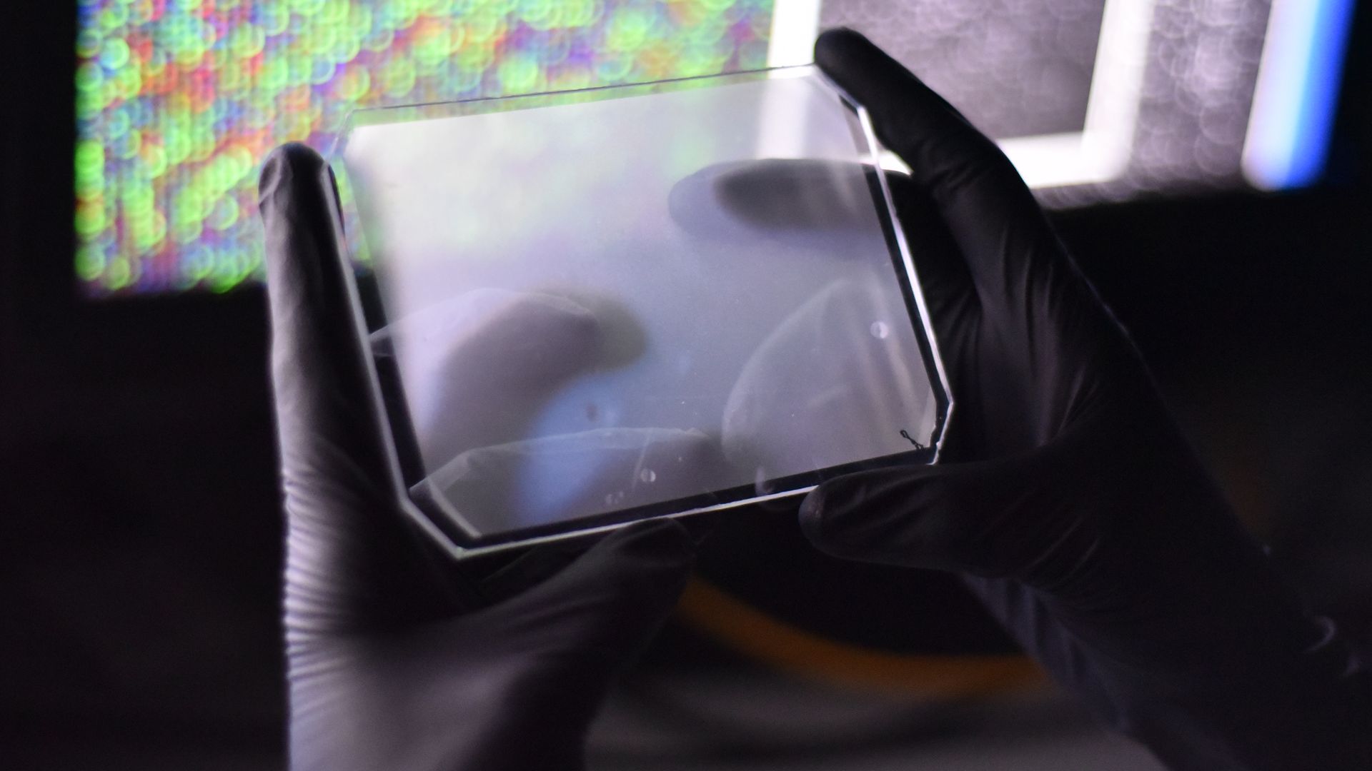 Photograph of the microwell CARMEN chip