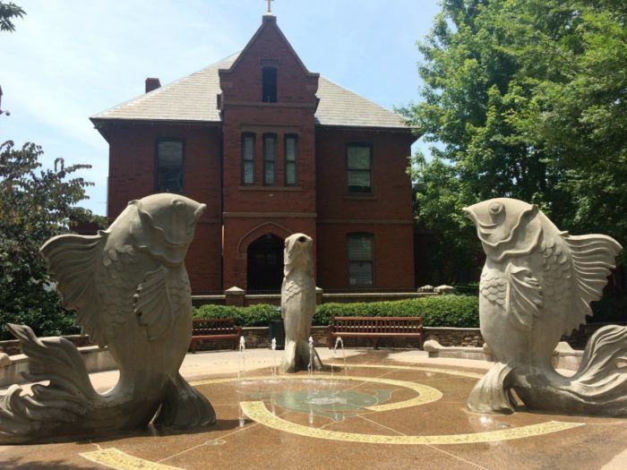 The Green sprayground