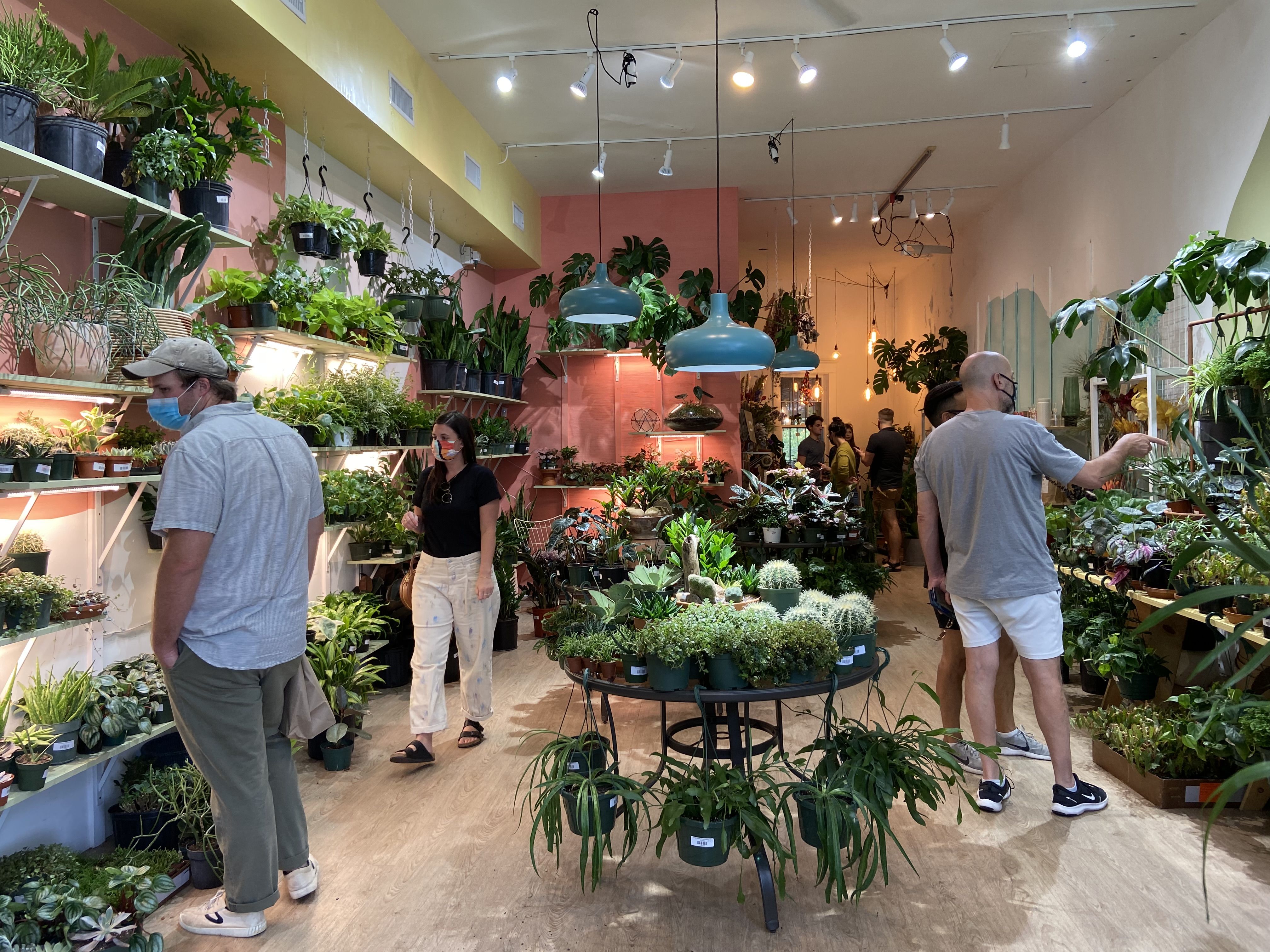 People shop in a verdant and vibrant plant store called The Green Flamingo in Virginia-Highland
