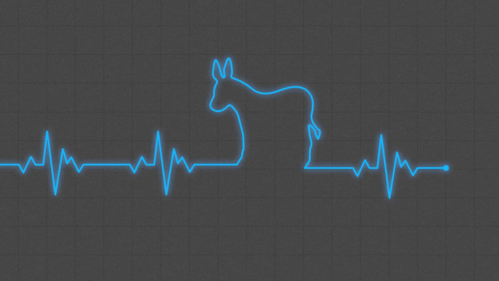 EKG showing a donkey