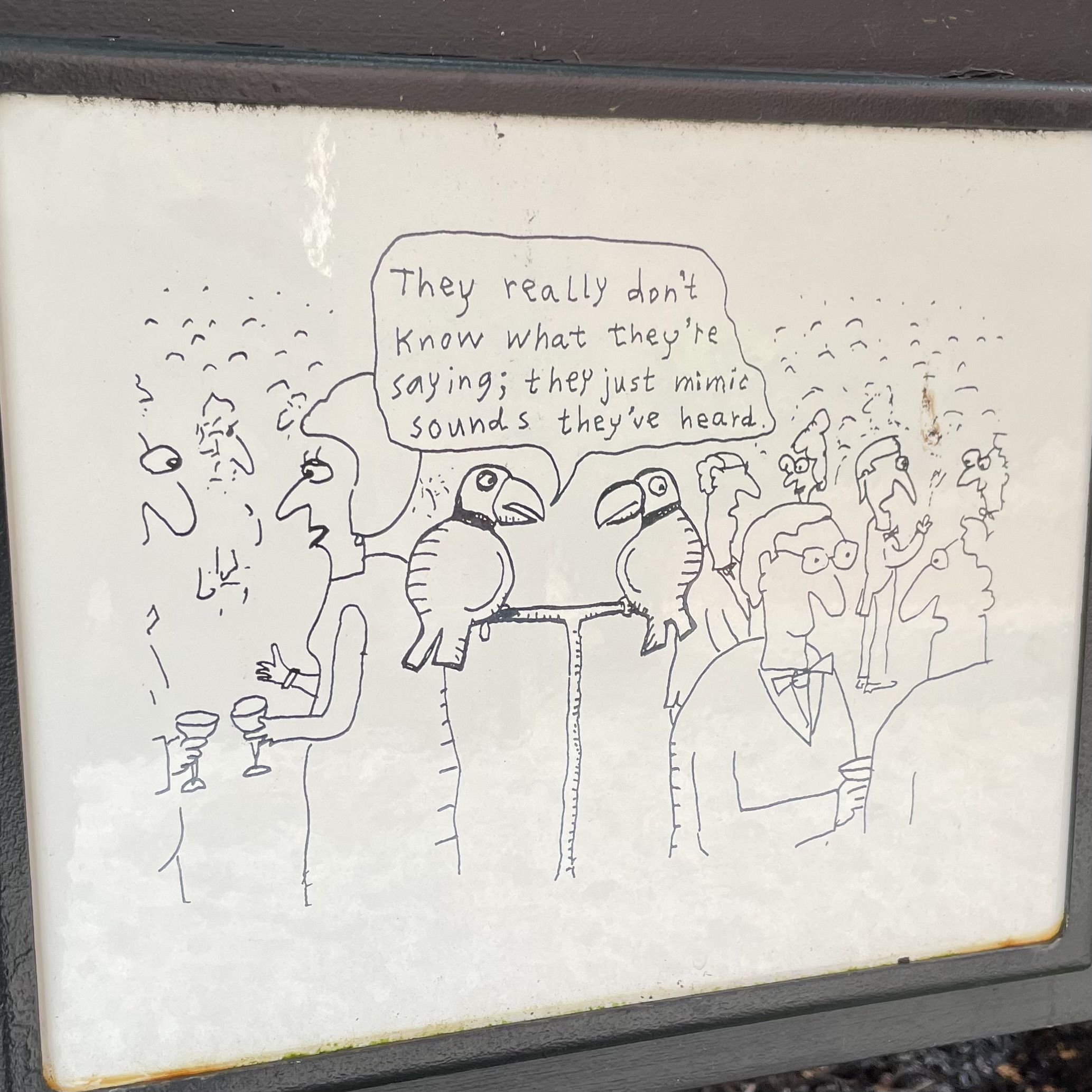 Black and white cartoon of two parrots talking at a party; one says, "They really don't know what they're saying; they just mimic sounds they've heard." People with drinks are in the background.