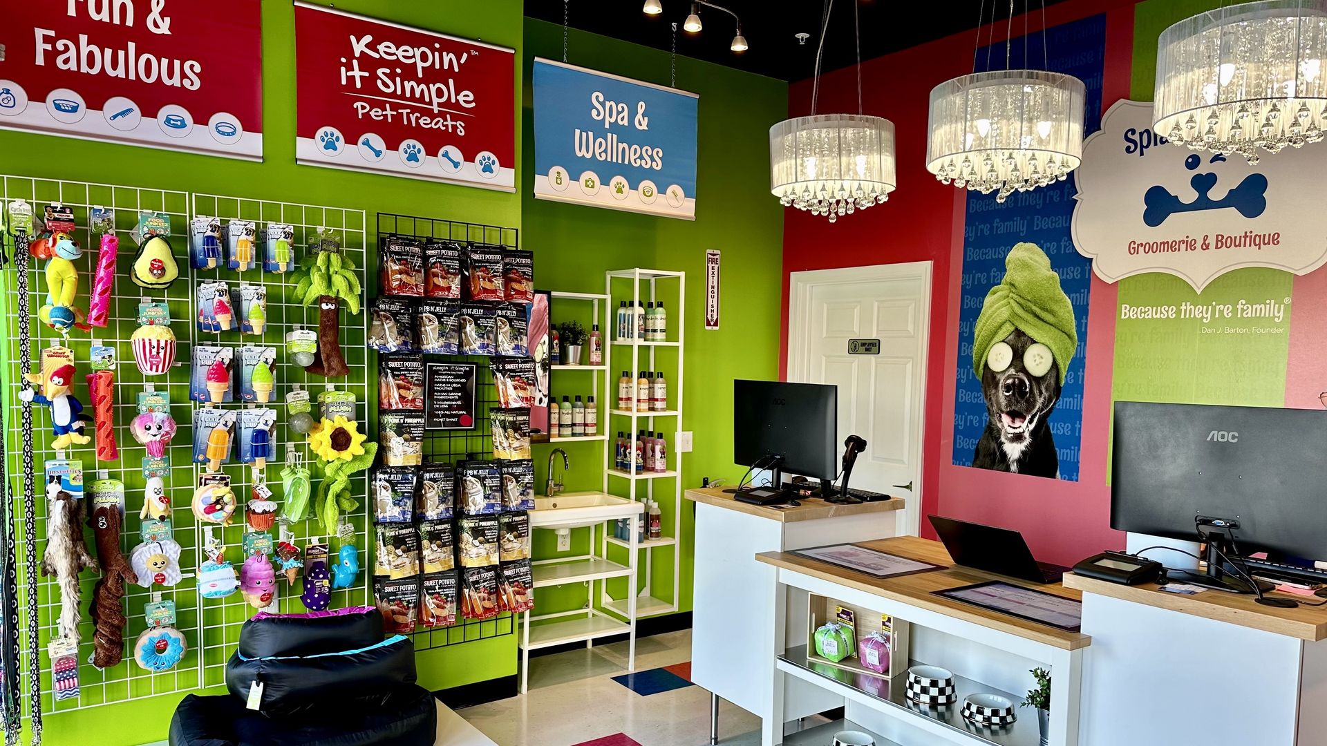 inside dog grooming salon