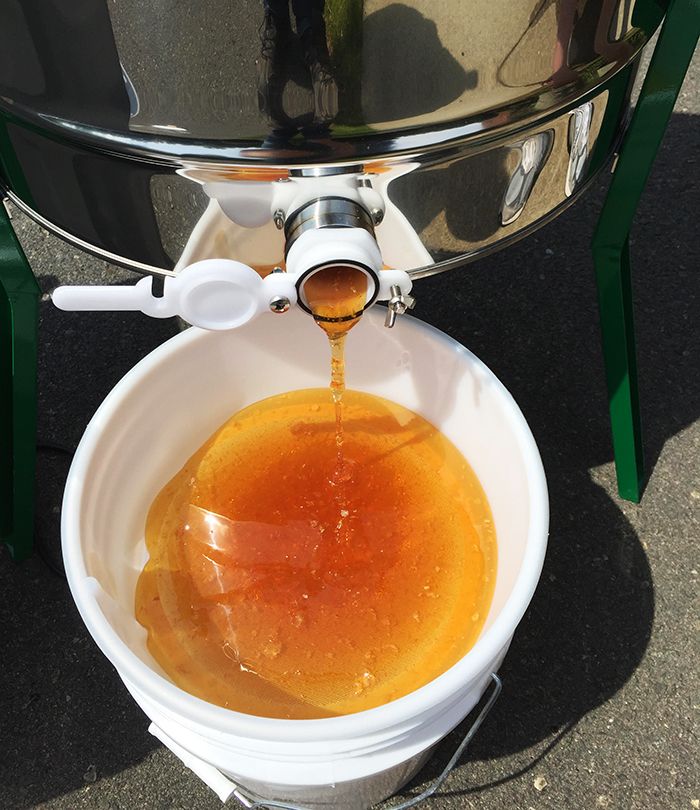 honey-from-beekeeper-in-charlotte