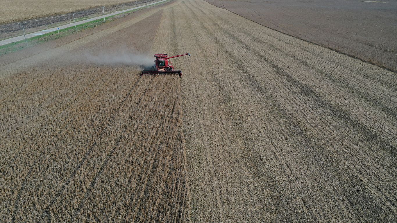 U.S. soybean stockpiles expected to drop as exports rebound, USDA says