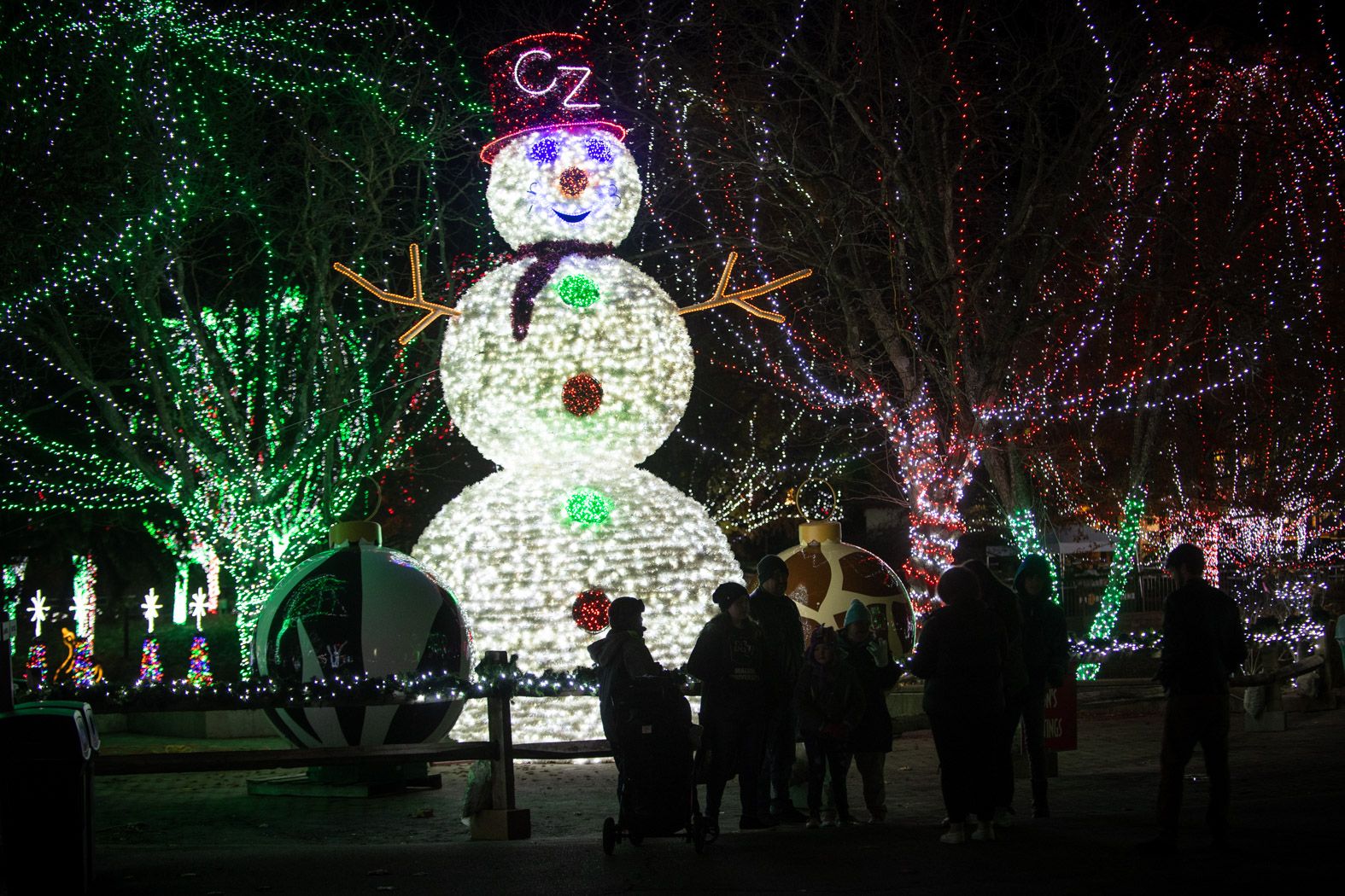 10 best Christmas light displays in Columbus, Ohio Axios Columbus