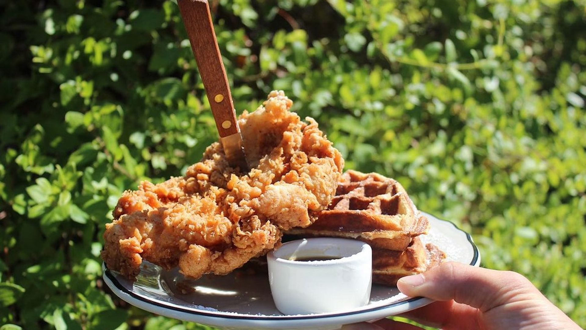 A photo of a hand holding a plate of fried chicken and waffles.