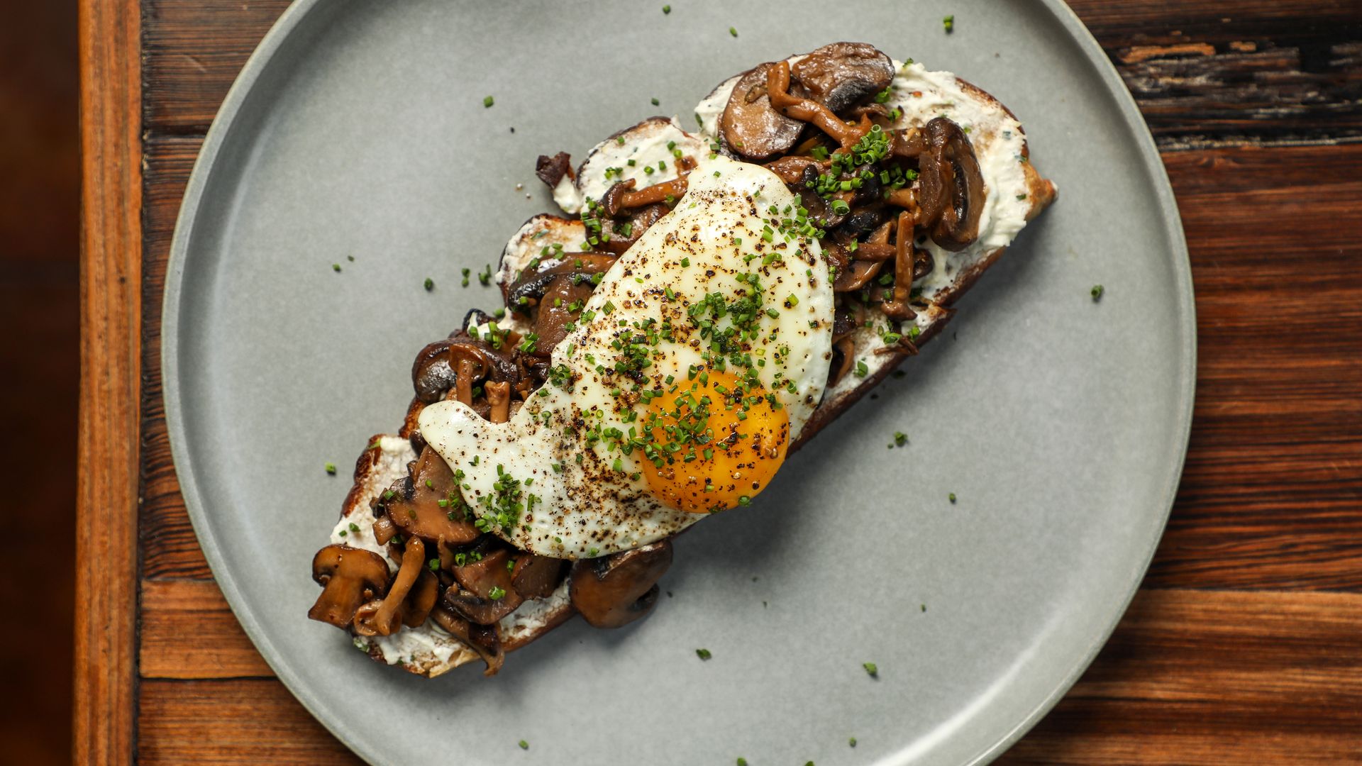 A close-up photo of a piece of toast with wild mushrooms and a sunny side up egg on top.