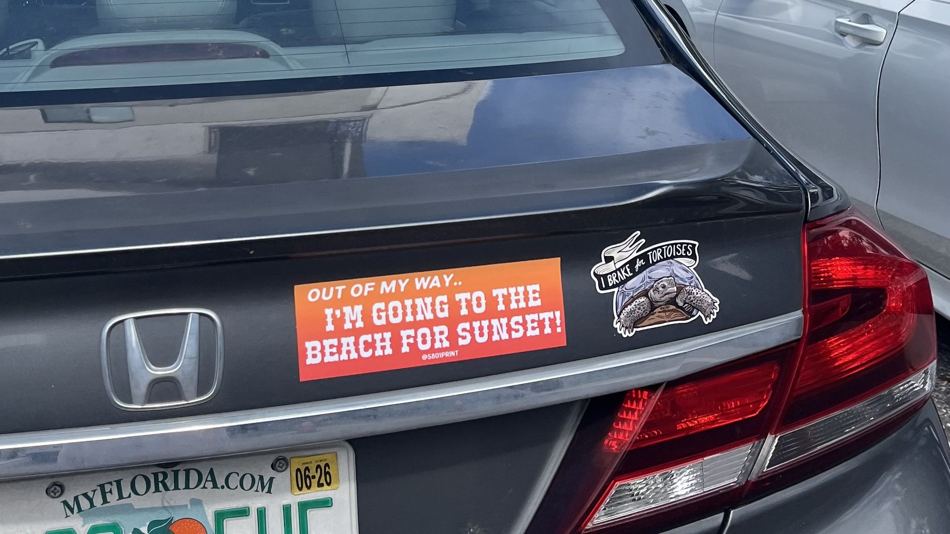 Rear view of a dark gray Honda Civic with an orange sticker: 'Out of my way... I'm going to the beach for sunset!' and a 'I brake for Tortoises' sticker with a turtle; Florida plate visible.