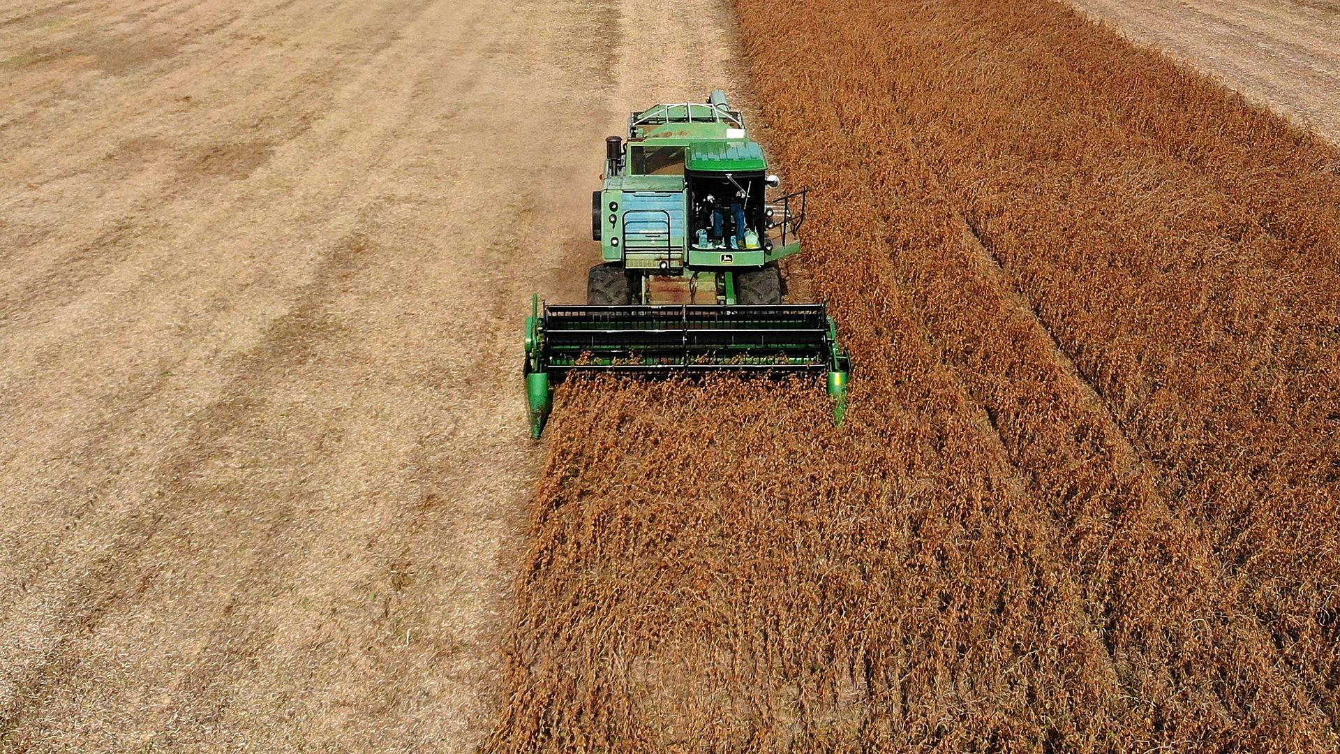 Farmer Mark Catterton drives a John Deere Harvester while harvesting soybeans during his fall harvest on October 19, 2018 in Owings, Maryland