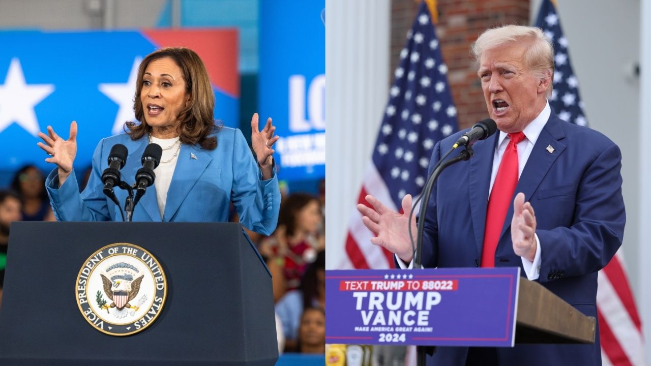 A split screen of Harris and Trump campaigning