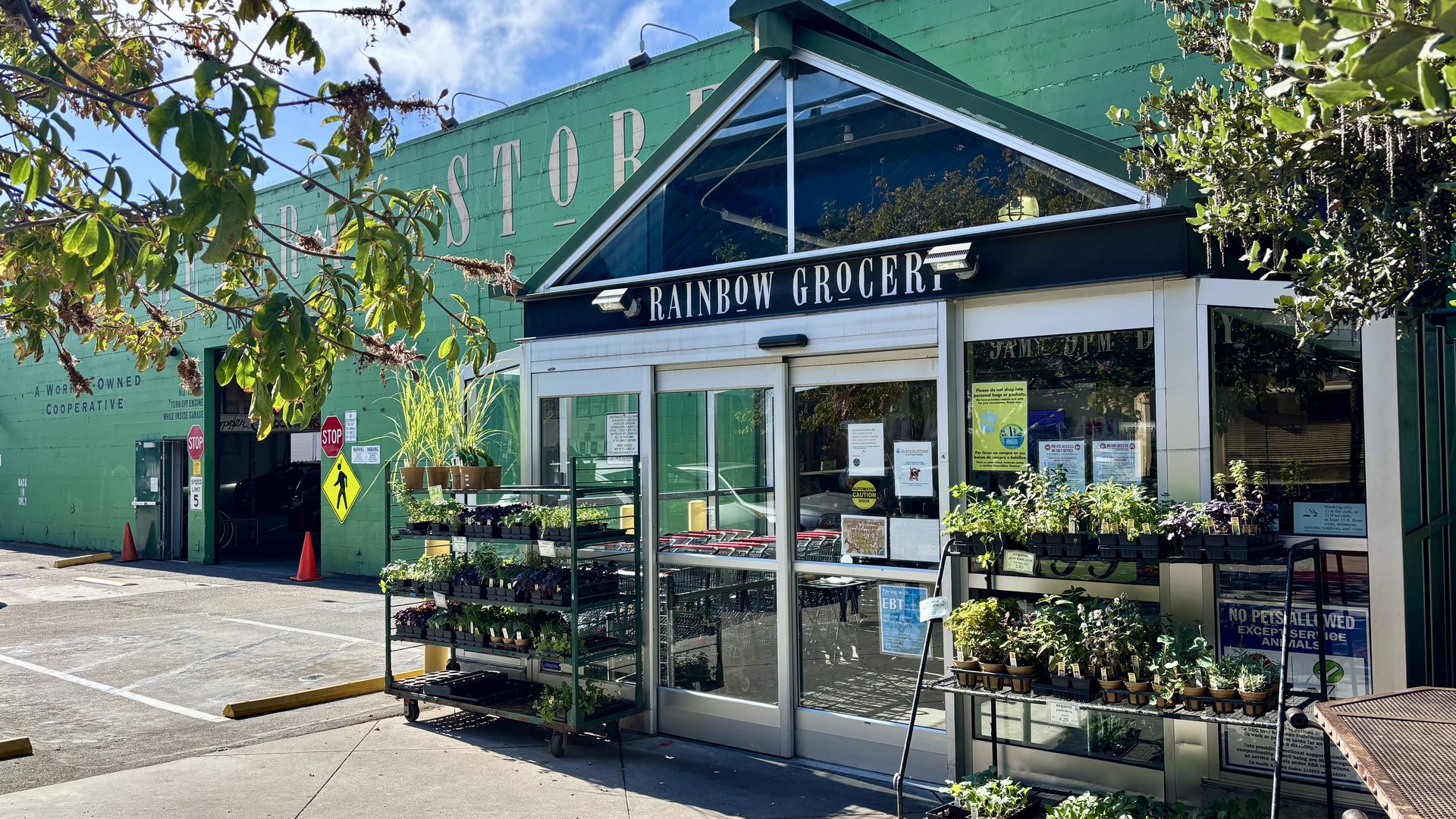 Entrance of Rainbow Grocery with glass automatic doors, black sign with white letters, plant racks with potted greenery outside, green building wall, and parking area under blue sky.