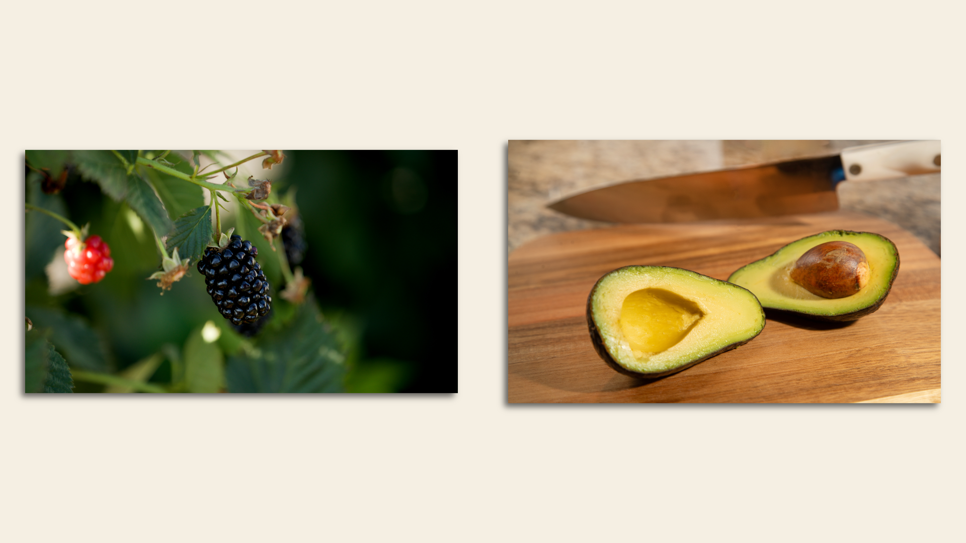 At left, a thornless blueberry on a vine; at right, a cut-open avocado.
