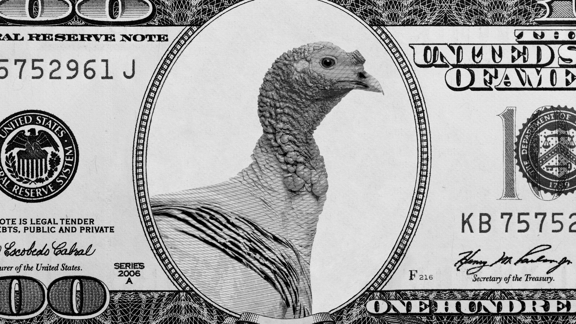 Illustration of a hundred dollar bill with a turkey in place of Benjamin Franklin