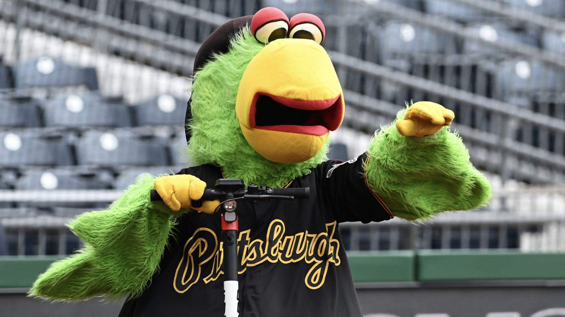 Pittsburgh Pirates mascot the Pirate Parrot rides a scooter prior to a game against the Chicago Cubs at PNC Park.