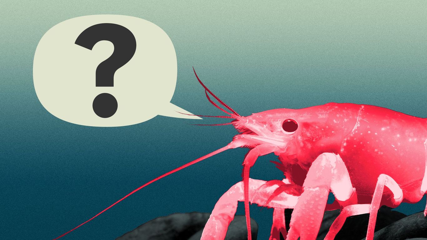 The eternal New Orleans identity question