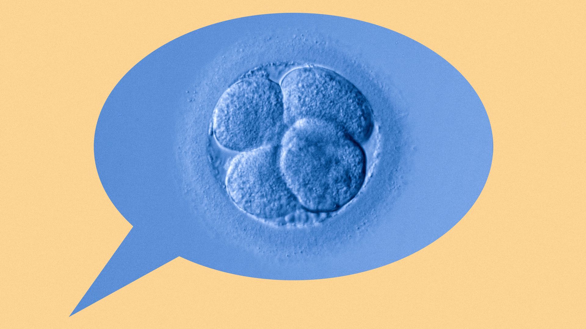 Illustration of an embryo inside a speech bubble.