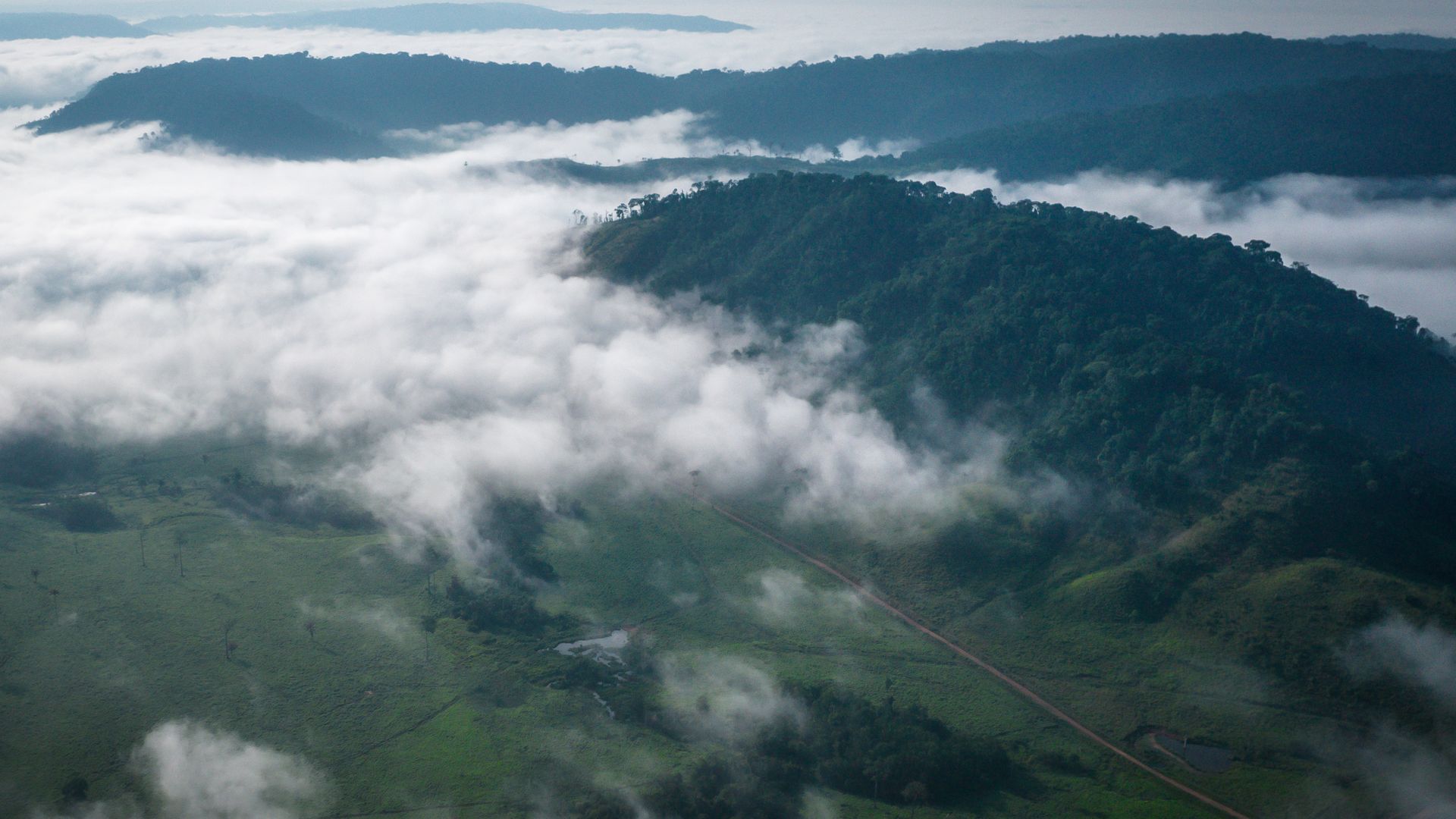 An environmentally protected area near Sao Felix do Xingu, Brazil, in October 2021.